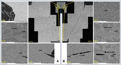 Effect of High Strain Rates on Adiabatic Shear Bands Evolution and Mechanical Performance of Dual-Phase Ti Alloy